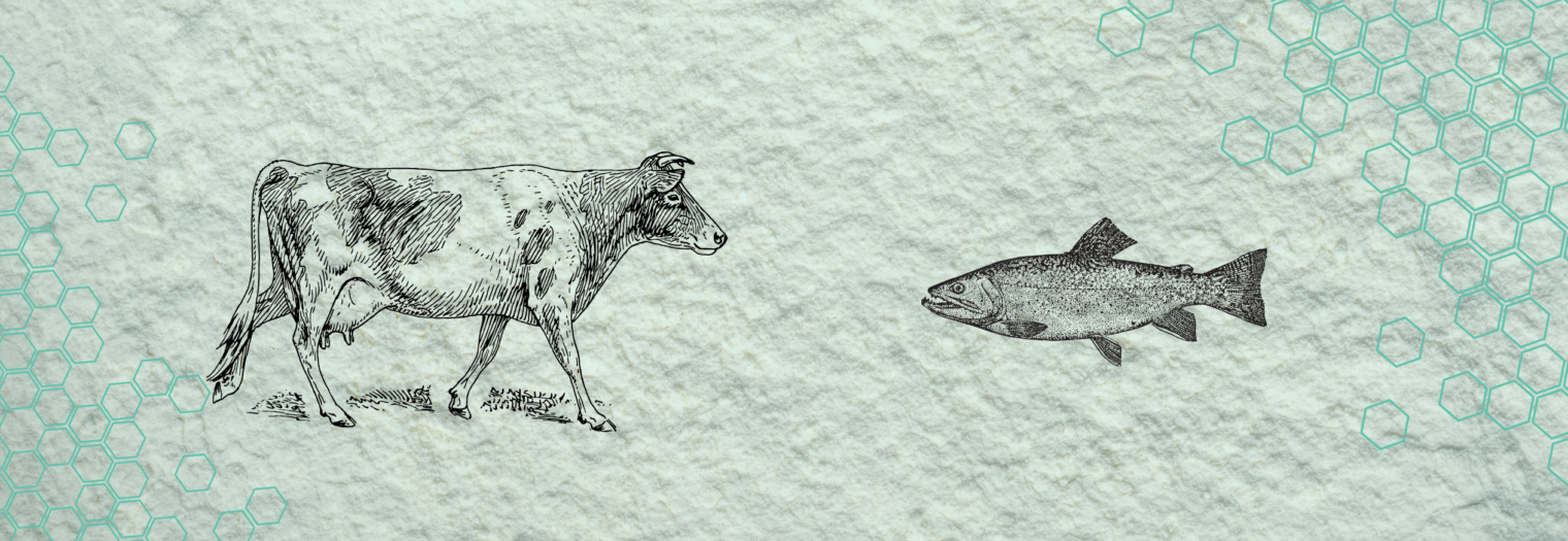 Кој тип колаген е најдобар за тебе?