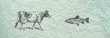 Кој тип колаген е најдобар за тебе?